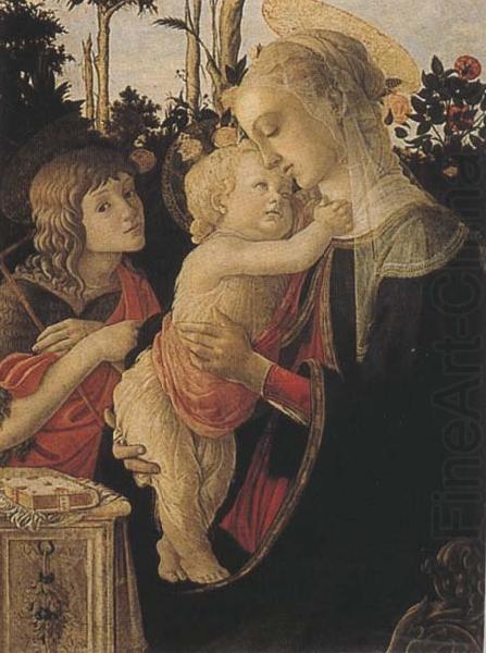 Madonna of the Rose Garden or Madonna and Child with St John the Baptist, Sandro Botticelli